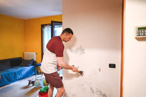 Best Kitchen Mold Remediation in Rancho Santa Margarita, CA